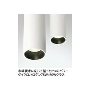 ODELIC オーデリック　屋内用スポットライト　OS 256 555R Amazon.co.jp: オーデリック スポットライト 【OS256555R】【OS