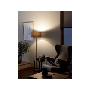 ODELIC（オーデリック） スタンドライト 【OT265032LR】【OT 265 032LR