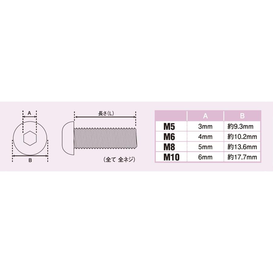 POSH Faith ボタンキャップボルト（ステンレス/ブラック）（2本入