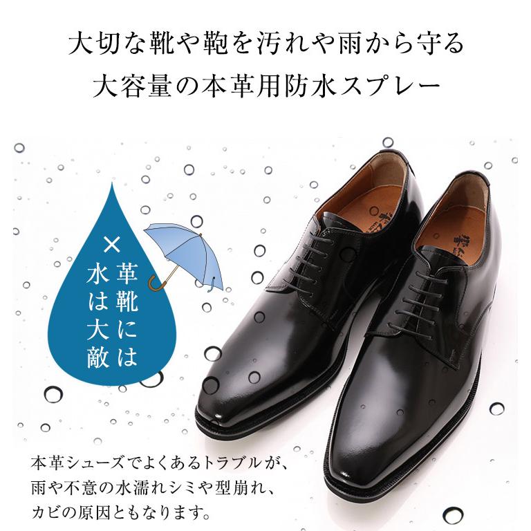 ☆22％OFF☆ 2本セット 防水スプレー アメダス 420ml 大容量 雨 雪
