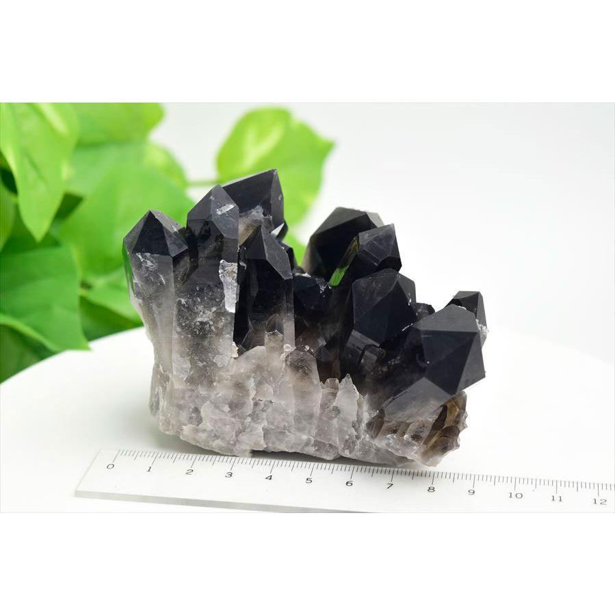 アーカンソー州産 黒水晶 スモーキークォーツ (約392g) クラスター