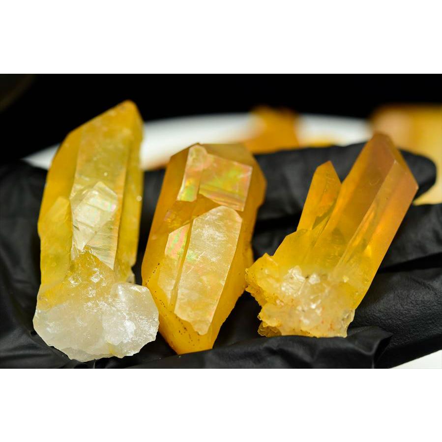 ゴールデンヒーラー アーカンソー産 100g