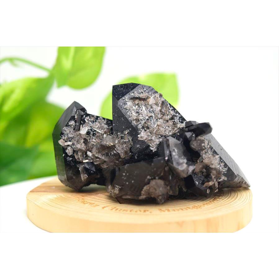 アーカンソー州産 黒水晶 スモーキークォーツ クラスター (約246.3g