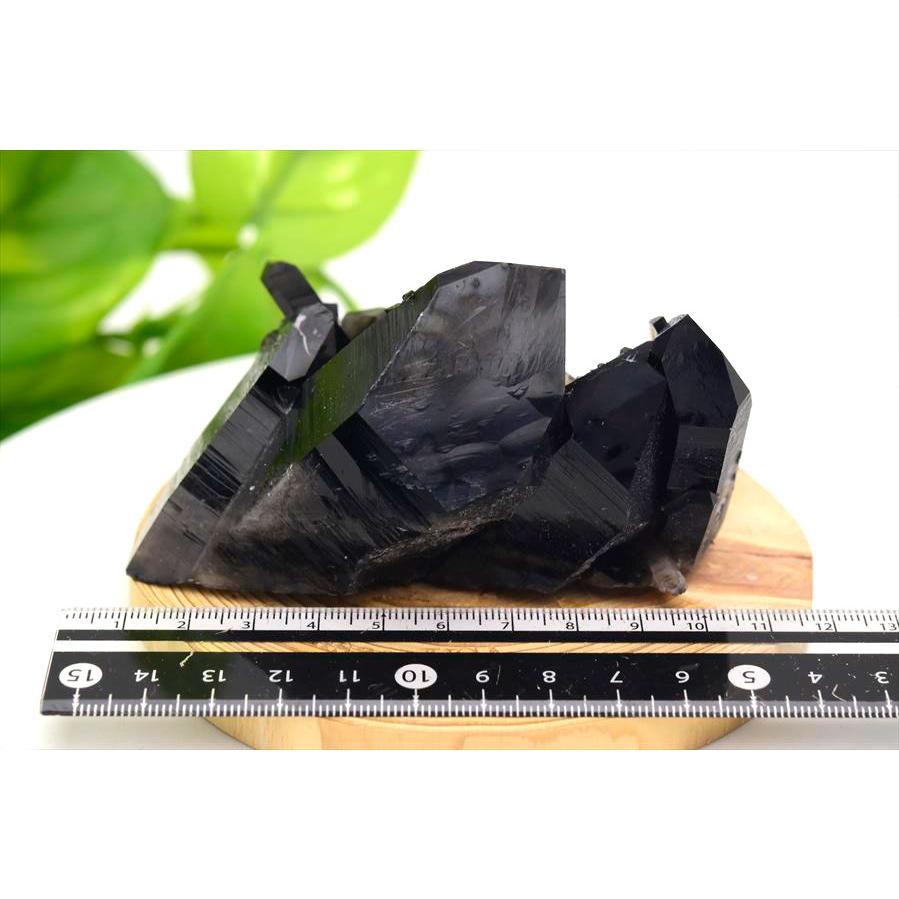 アーカンソー州産 黒水晶 スモーキークォーツ クラスター (約246.3g