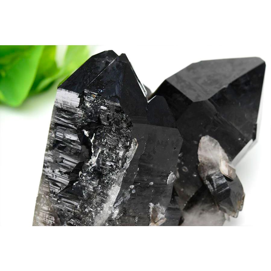 スモーキークォーツ クラスター アーカンソー州産 アーカンソー産 黒水晶（スモーキークォーツ）クラスター原石