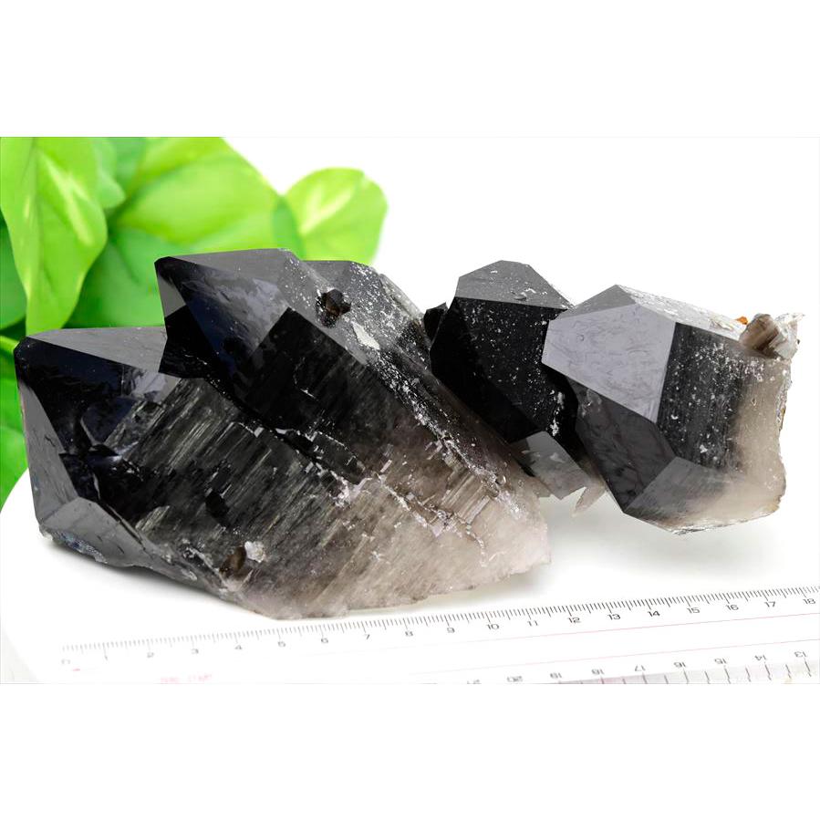 アーカンソー州産 黒水晶 スモーキークォーツ クラスター (約1042g
