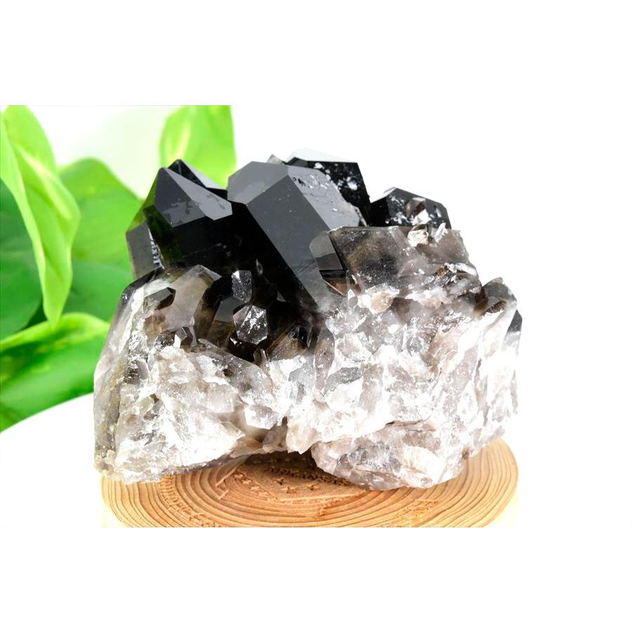 アーカンソー州産 黒水晶 スモーキークォーツ (約784g) クラスター