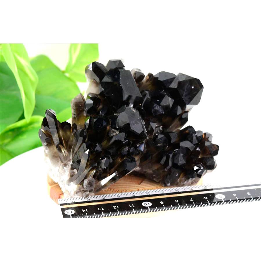 黒水晶 スモーキークォーツ (約817.5g) クラスター ポイント 原石 アーカンソー産 水晶 クリスタルクラスター 群晶 原石 天然石 【戯れる】
