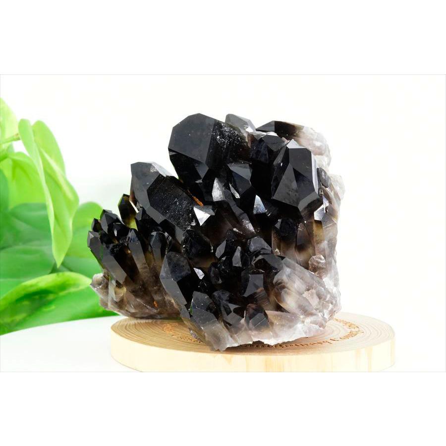 黒水晶 スモーキークォーツ (約817.5g) クラスター ポイント 原石 アーカンソー産 水晶 クリスタルクラスター 群晶 原石 天然石 【戯れる】