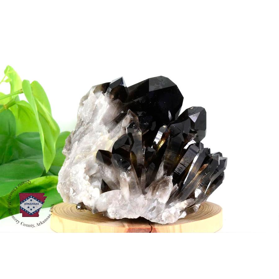 黒水晶 スモーキークォーツ (約817.5g) クラスター ポイント 原石 アーカンソー産 水晶 クリスタルクラスター 群晶 原石 天然石 【戯れる】