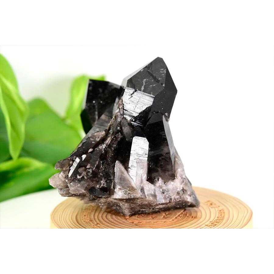 アーカンソー州産 黒水晶 スモーキークォーツ (約463g) クラスター