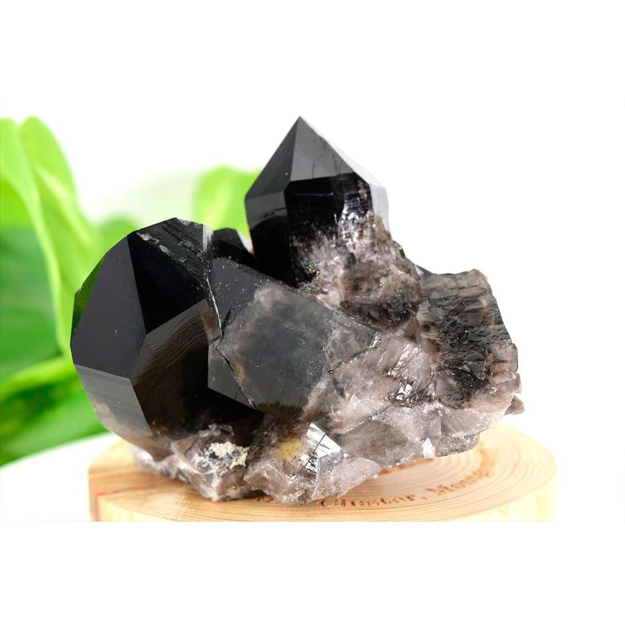 アーカンソー州産 黒水晶 スモーキークォーツ (約463g) クラスター
