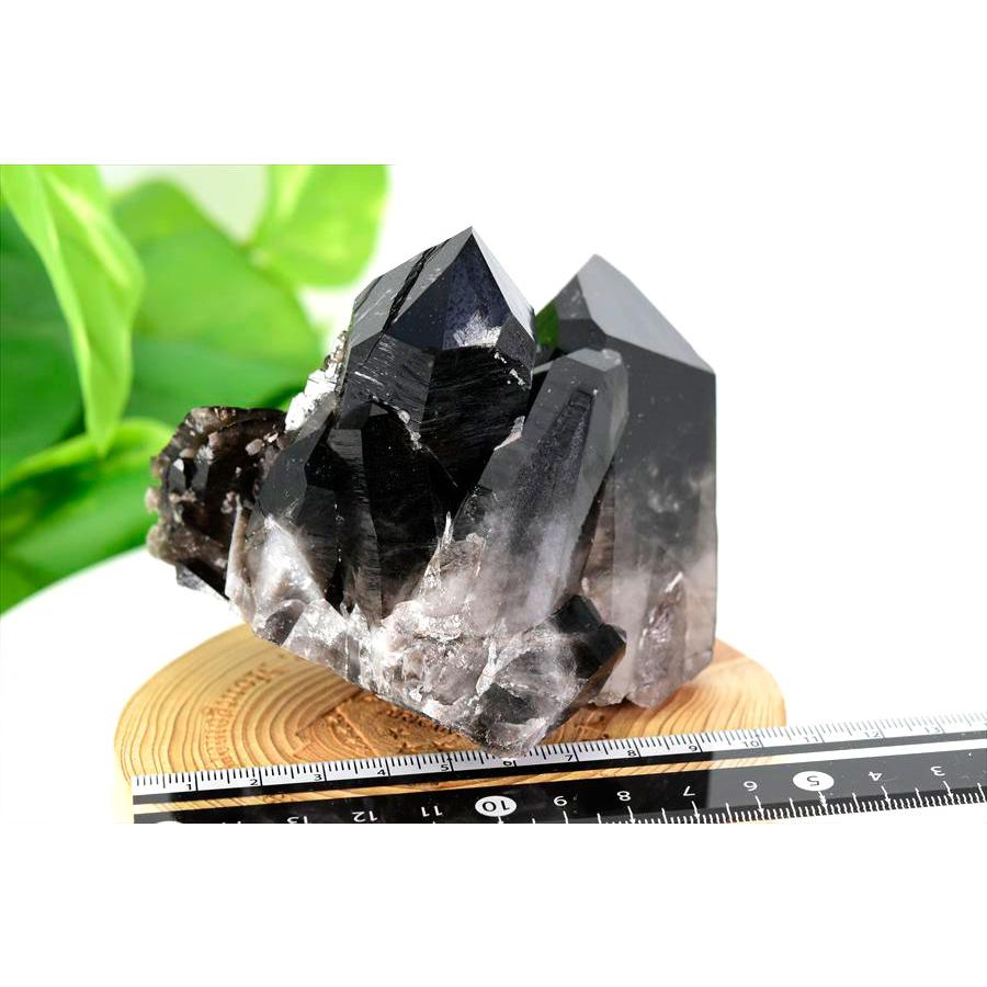 【極上品】アーカンソー産　黒水晶 アーカンソー産 黒水晶（スモーキークォーツ）クラスター原石｜原産地