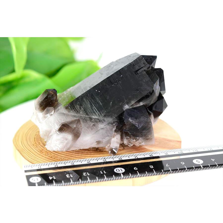アーカンソー州産 黒水晶 スモーキークォーツ (約266g) クラスター