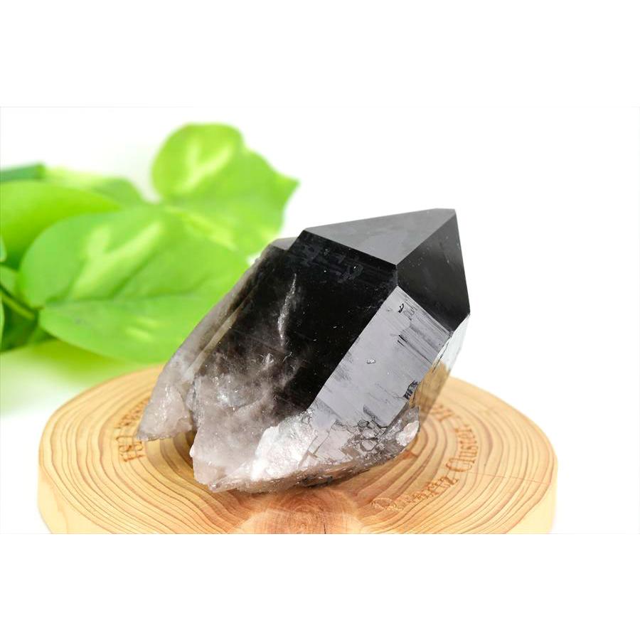 アーカンソー州産 黒水晶 スモーキークォーツ (約264.1g) クラスター