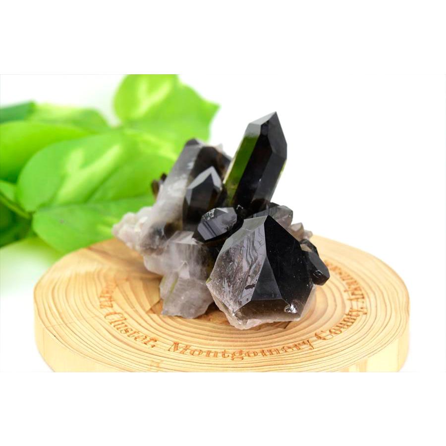 アーカンソー州産 黒水晶 スモーキークォーツ (約141.5g) クラスター
