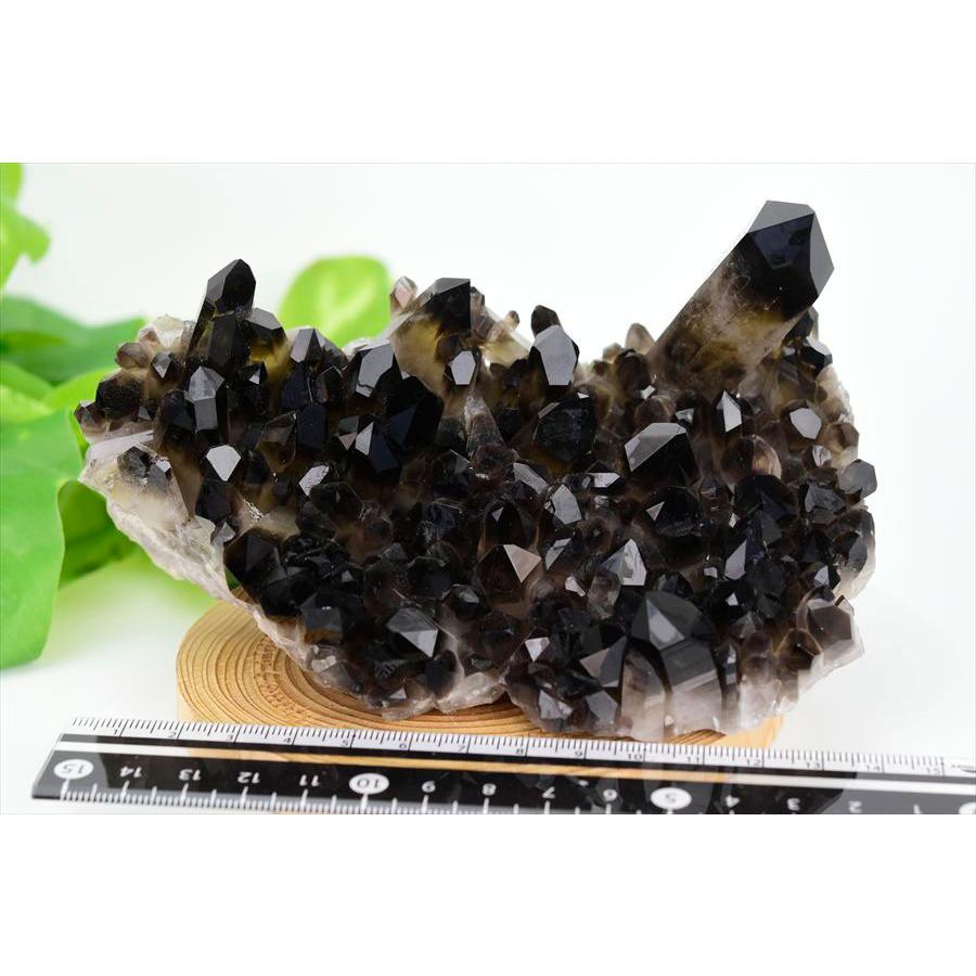 アーカンソー州産 黒水晶 スモーキークォーツ (約699.5g) クラスター