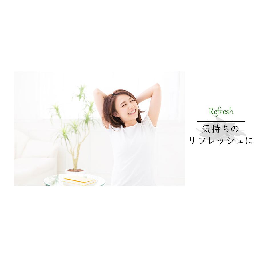 ホワイトセージ バンドル (1束：約30g前後) セージ お香 天然石