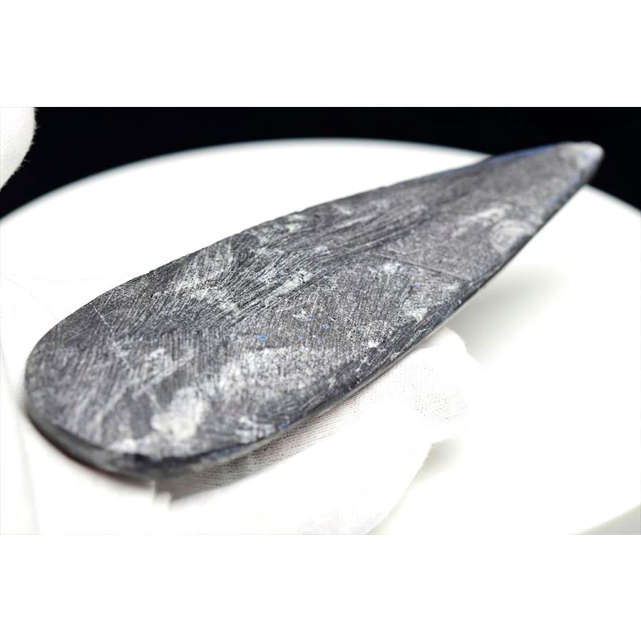 オルソセラス 直角貝 化石（約173g）モロッコ産 Orthoceras
