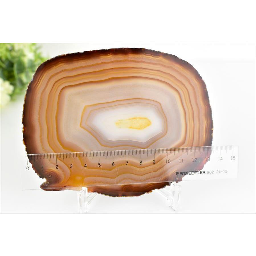 【瑪瑙】ナチュラル アゲート スライス ブラジル産 アゲート 瑪瑙 スライス (約213.4g／約135mm) 中判サイズ ブラジル産