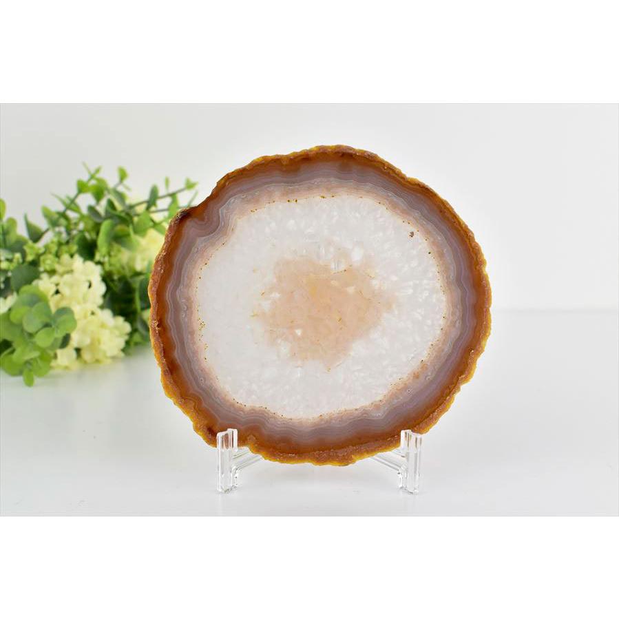 アゲート 瑪瑙 スライス (約187.3g／約126mm) 中判サイズ ブラジル産