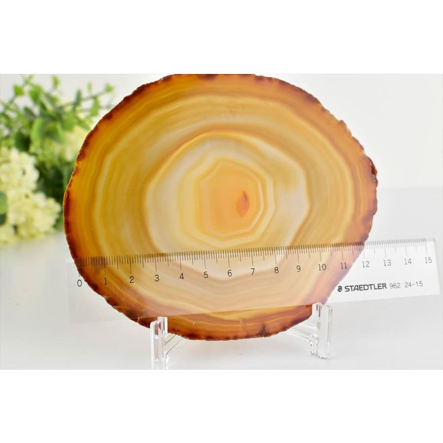 アゲート 瑪瑙 スライス (約141.3g／約140mm) 中判サイズ ブラジル産