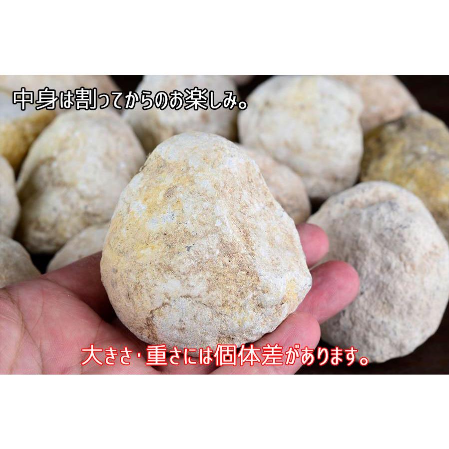 水晶　ジオード #A43 水晶 ジオード #A43 ジオード 晶洞 割れていないジオード