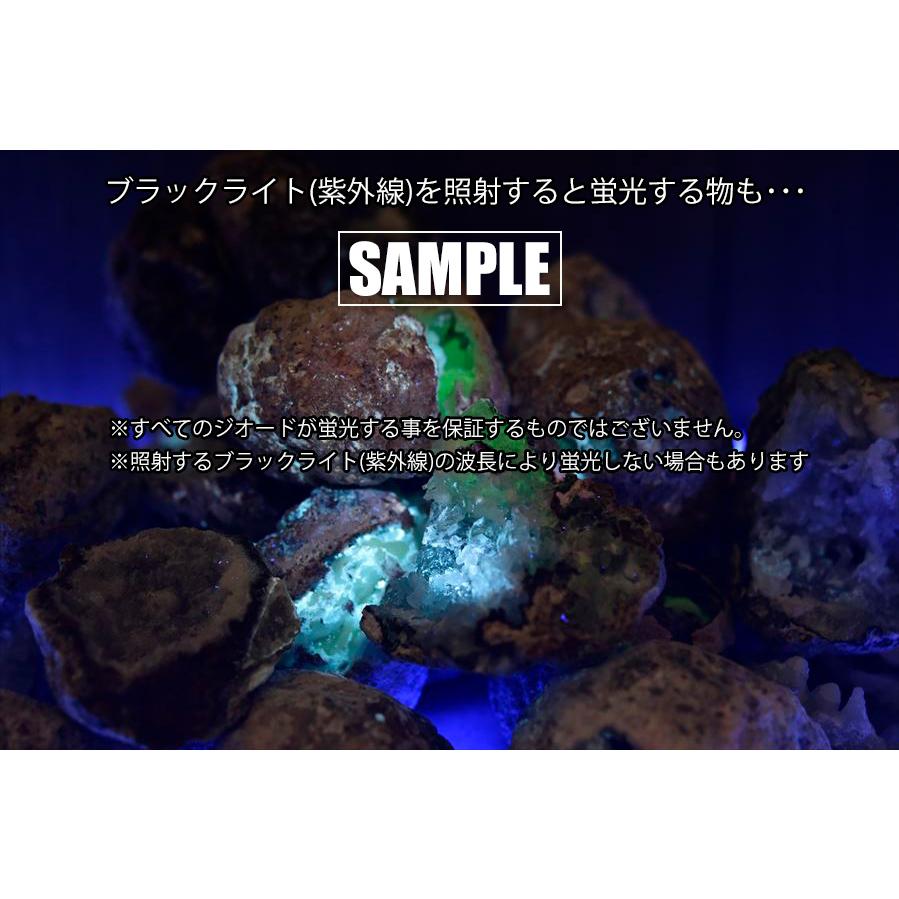 OUTLET アウトレット トランカスジオード 激安セット 大量 (約 OUTLET アウトレット トランカスジオード 激安セット 大量 (約