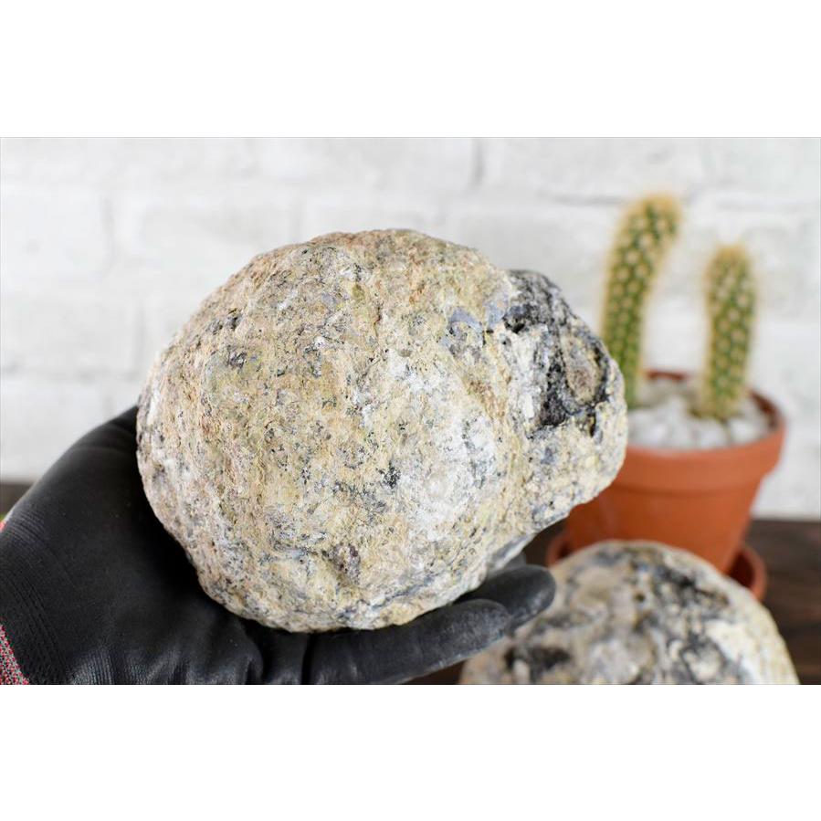 トランカスジオード 晶洞 蛍光 (Lサイズ) メキシコ・チワワ州産 割れ