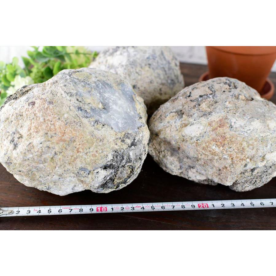 トランカスジオード 晶洞 蛍光 (Lサイズ) メキシコ・チワワ州産 割れ