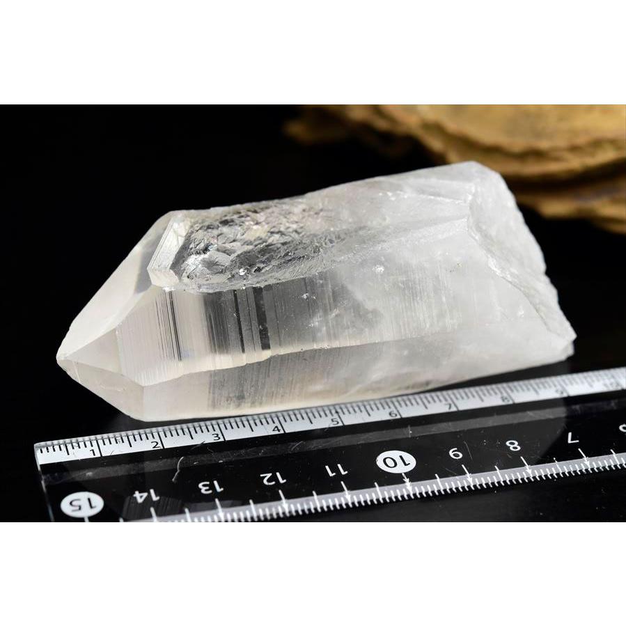 レムリアンシード (約162.4g) クリスタル ポイント ブラジル ミナス