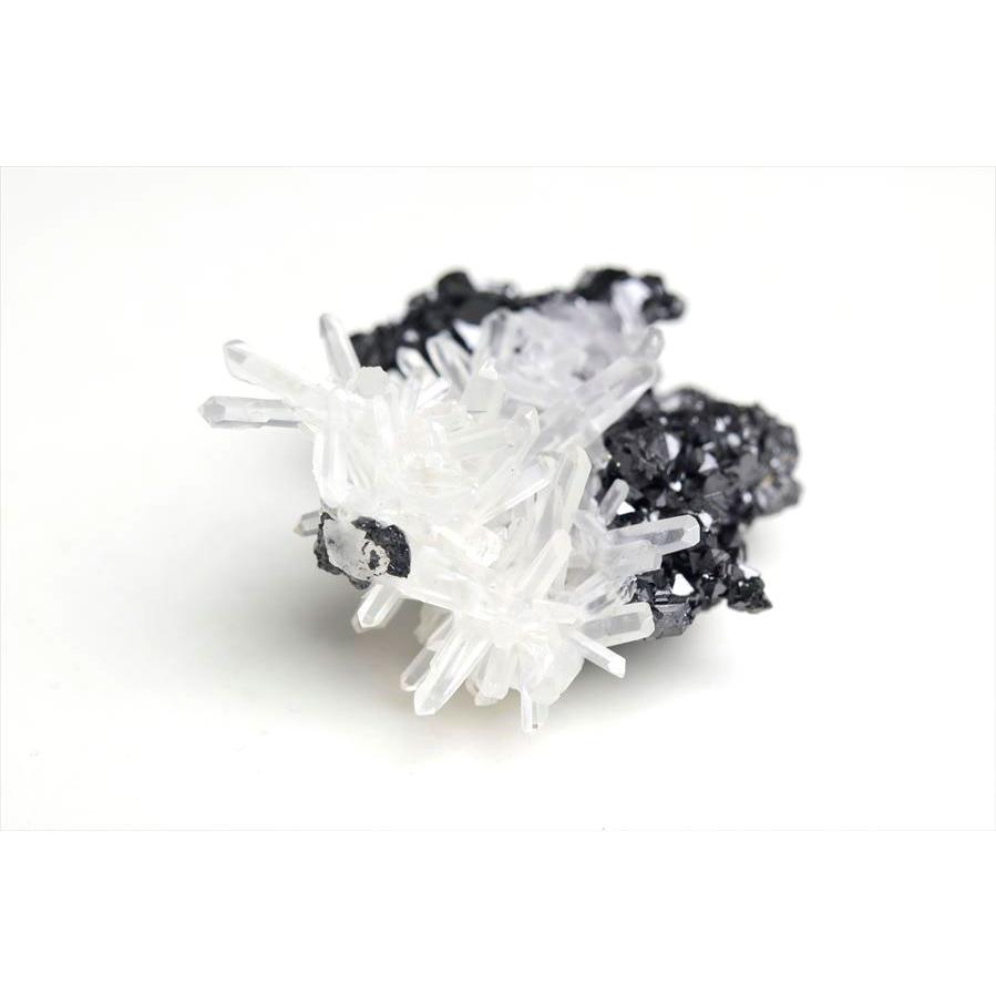 スファレライト共生 水晶クラスター ミニサイズ (約49.5g) 標本 水晶 
