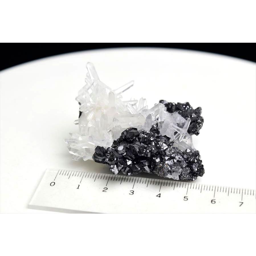 スファレライト共生 水晶クラスター ミニサイズ (約49.5g) 標本 水晶 