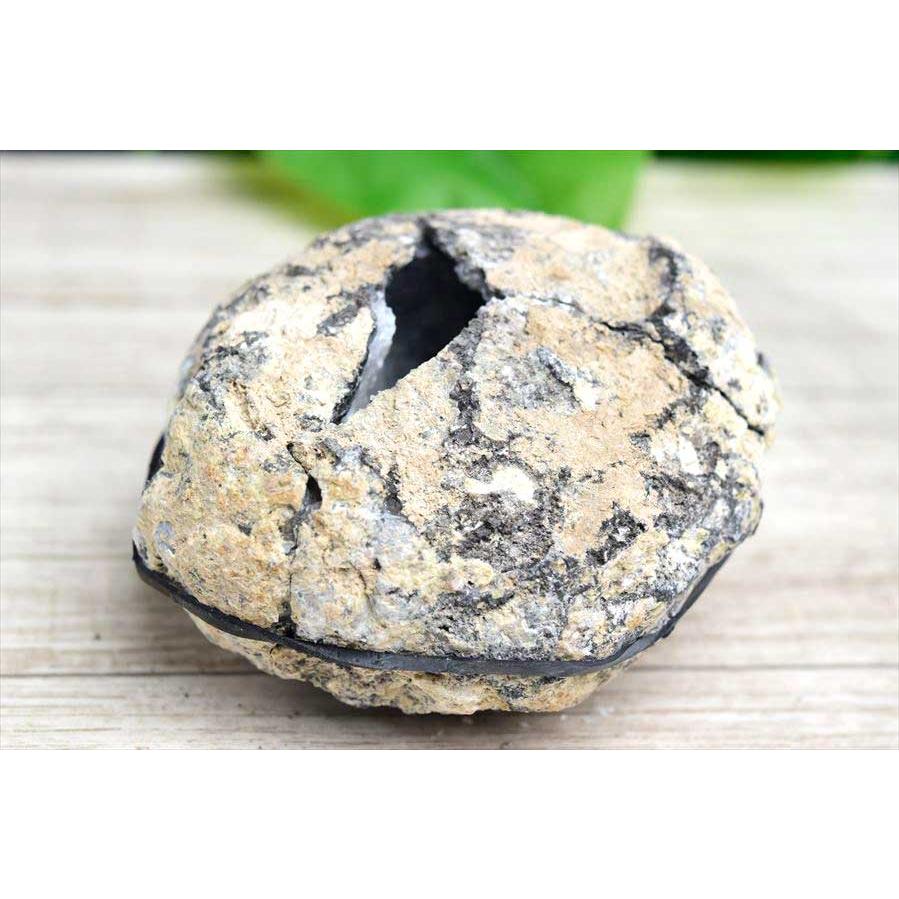 ジオード亀 蛍光ジオード トランカスジオード (約467g) 晶洞 蛍光 現物画像 チワワ