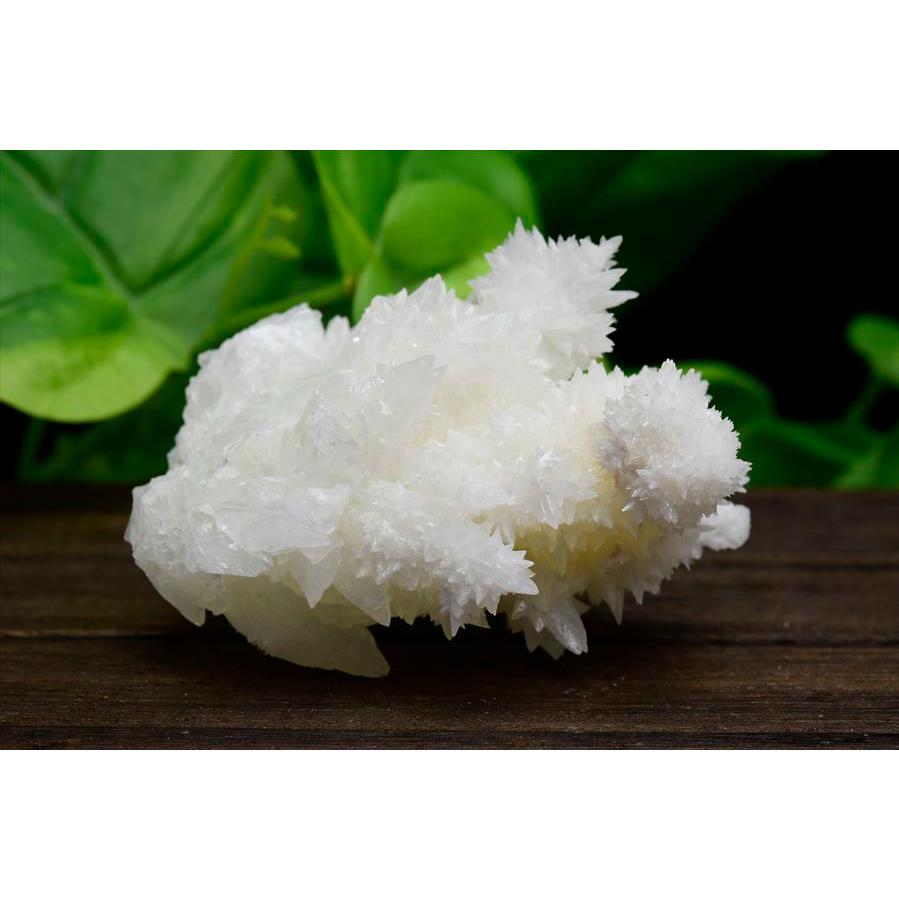 アラゴナイト フロスフェリ flosferri クラスター 原石 (約158.5g) メキシコ チワワ州 サンタエウラリア産 ホワイトアラゴナイト 霰石 あられ石 なごみ石