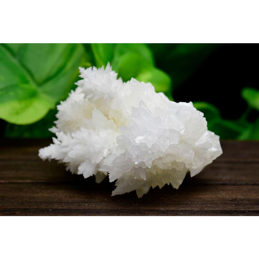 アラゴナイト フロスフェリ flosferri クラスター 原石 (約158.5g) メキシコ チワワ州 サンタエウラリア産 ホワイトアラゴナイト 霰石 あられ石 なごみ石