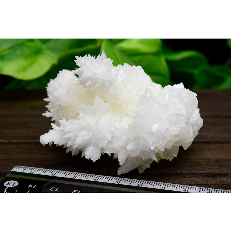 アラゴナイト フロスフェリ flosferri クラスター 原石 (約158.5g) メキシコ チワワ州 サンタエウラリア産 ホワイトアラゴナイト 霰石 あられ石 なごみ石