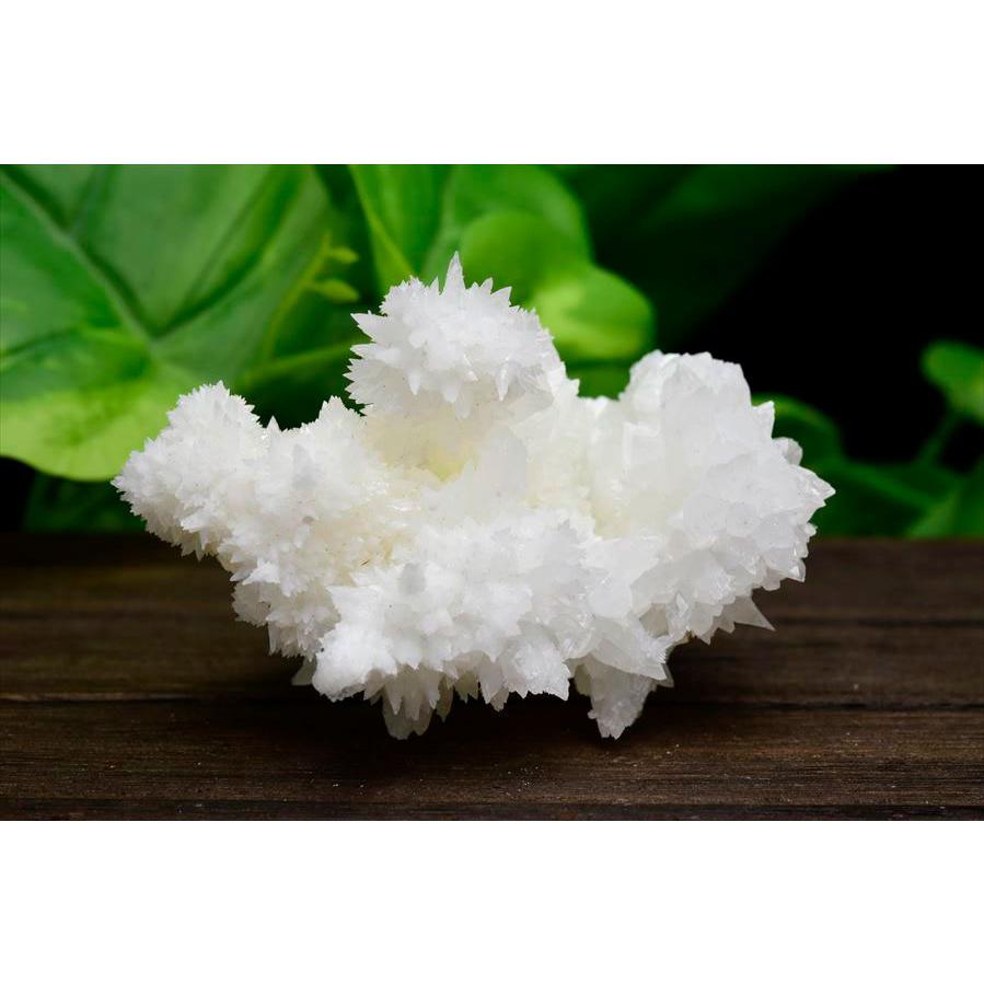 アラゴナイト フロスフェリ flosferri クラスター 原石 (約158.5g) メキシコ チワワ州 サンタエウラリア産 ホワイトアラゴナイト 霰石 あられ石 なごみ石