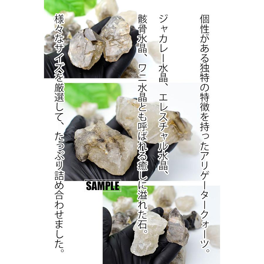アリゲータークォーツ ジャカレー水晶 たっぷり約1kgセット ブラジル
