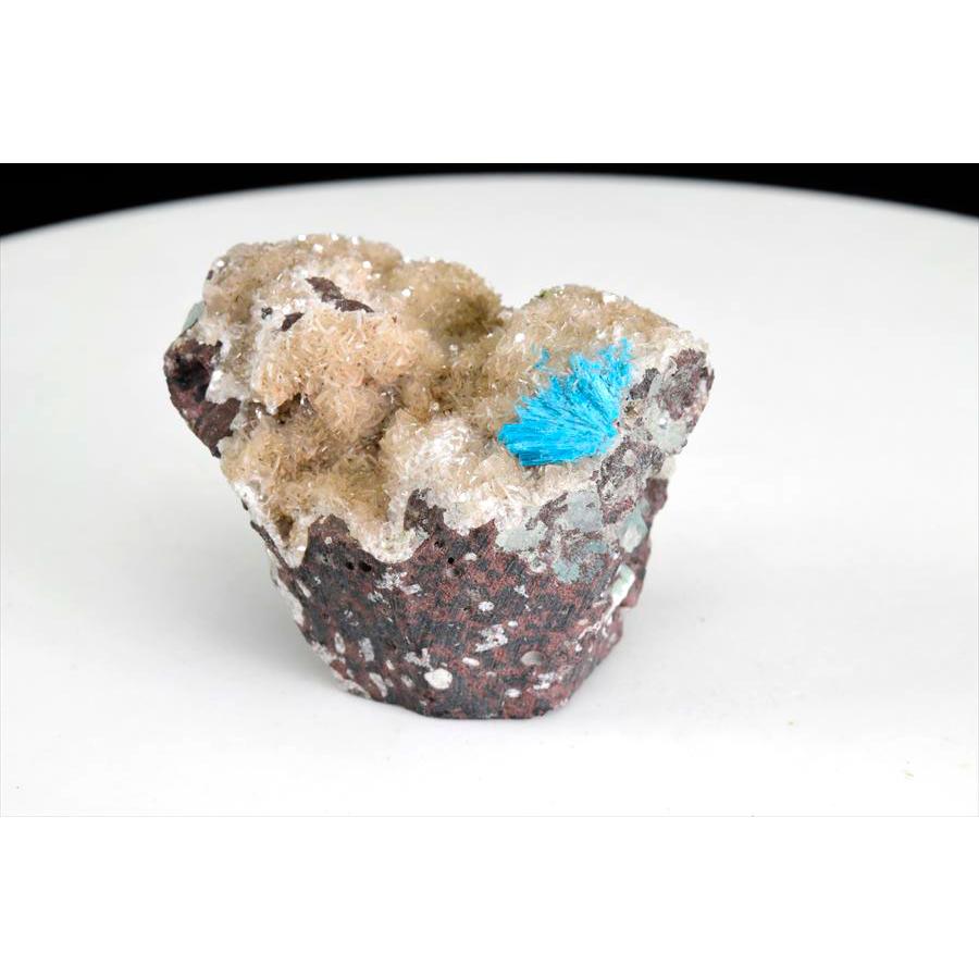 カバンサイト クラスター カバンサイト クラスター