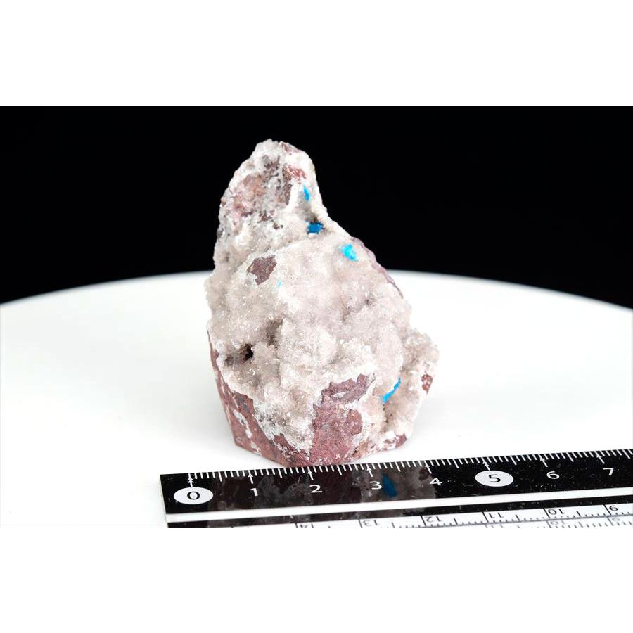 カバンサイト クラスター 【公式通販】