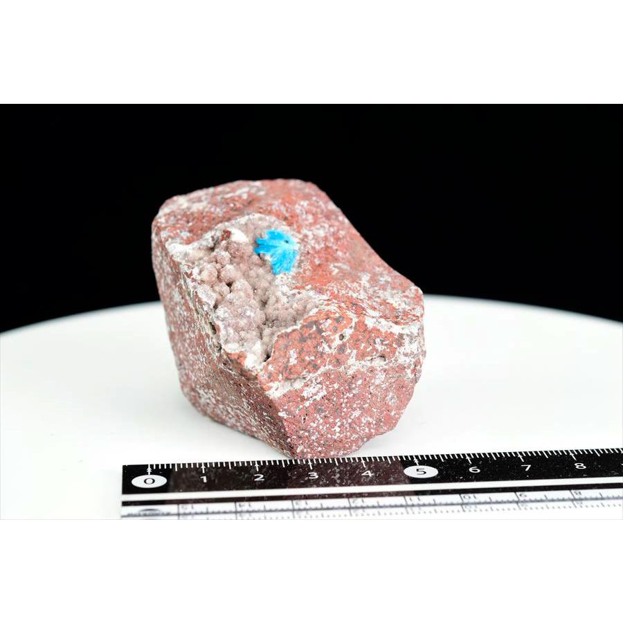 インテリア小物 カバンサイト クラスター