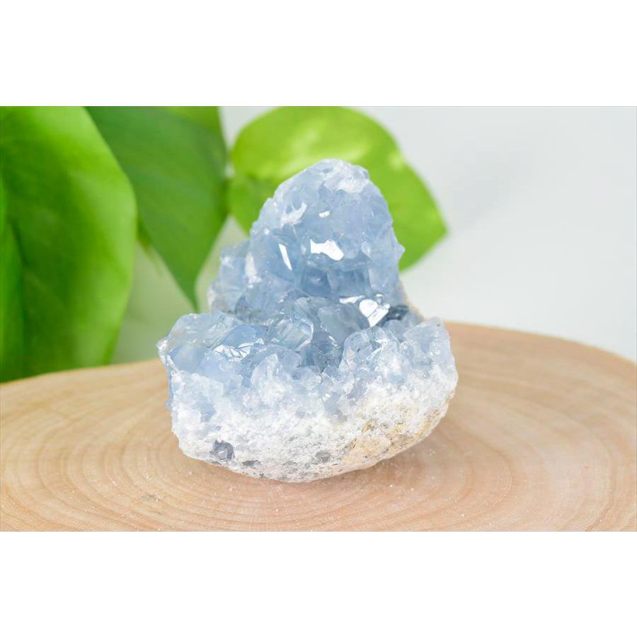 セレスタイト 天青石 クラスター (約206.4g) 原石 マダガスカル産 群晶