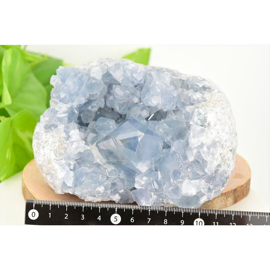 セレスタイト 天青石 クラスター 原石 人気のミニサイズ マダガスカル産 群晶 天然石 パワーストーン 浄化_4