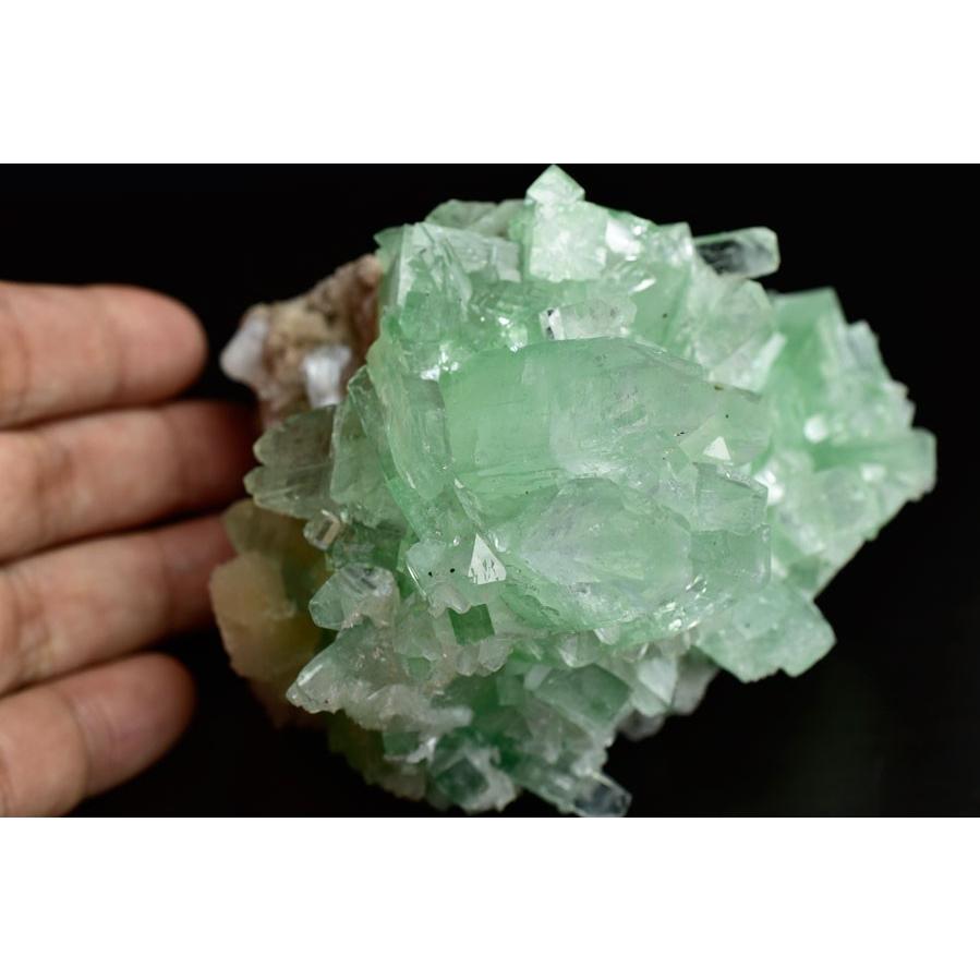 グリーンアポフィライト 結晶 クラスター 原石 アポフィライト