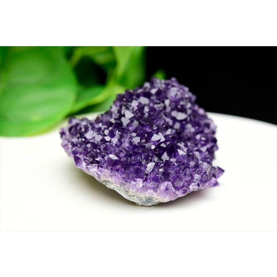 フラワーアメジスト☆アメジスト☆ウルグアイ産☆クラスター☆高品質☆台座つき☆ アメジスト クラスター 255g フラワー アメジスト クラスター (約255g