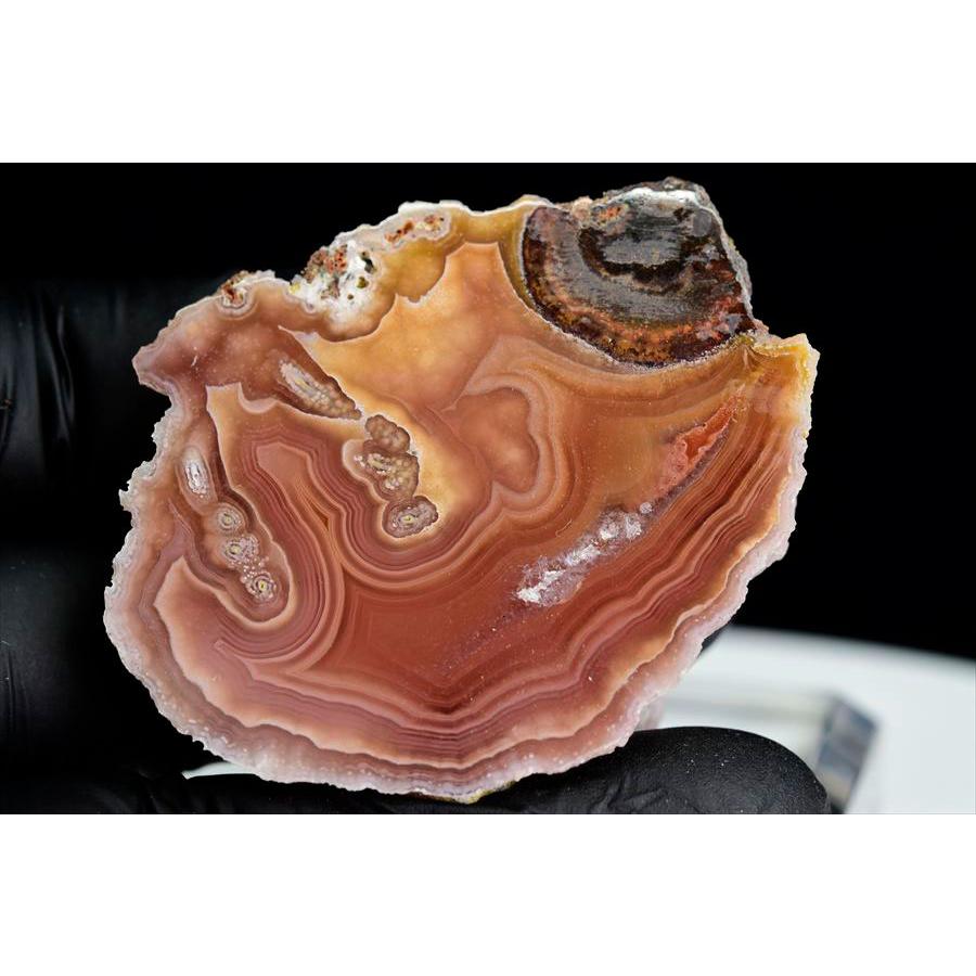Laguna Agate ラグナアゲート 瑪瑙 (約43.5g) 原石 メキシコ ラグナ産 
