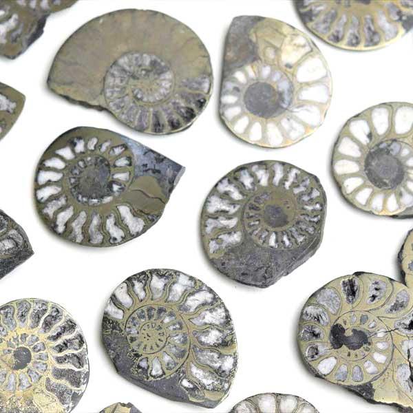 アンモナイト 化石 スライス 銅化 黄鉄鉱化 (約10g~約15g) 種類お任せ モロッコ産 単品販売 ammonite morocco 原石 ...