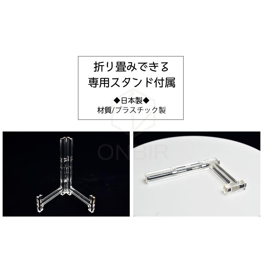 オルソセラス 直角貝 化石 プレート（約1500g）スタンド付き