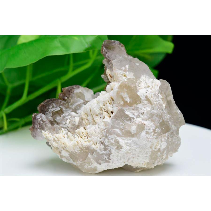 スモーキー アリゲータークォーツ (約307g) ジャカレー水晶 ブラジル ミナスジェライス州 アラスアイ産 ブラジル産 エレスチャル ワニ水晶 ジャカレー_1